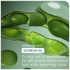 Biolage Color Last - zestaw do włosów farbowanych szampon 400ml i odżywka 400ml