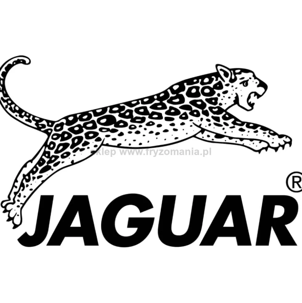 Jaguar Pre Style Ergo Nożyczki fryzjerskie 5.0 (82250), 5.5 (82255) i 6.0 (82260)