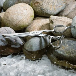 Migiwa Cut Offset - zestaw nożyczki fryzjerskie 5.5