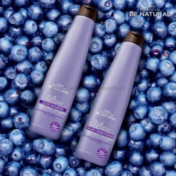 Placenta Life Blue Berry Silver Odżywka do włosów blond, siwych i rozjaśnianych 350ml