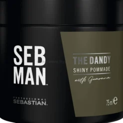 Seb Man The Dandy Pomada do włosów o lekkim stopniu utrwalenia dla mężczyzn 75ml
