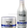 Stapiz Sleek Line Blond - zestaw neutralizujący żółte odcienie włosów, szampon 300ml i maska 250ml