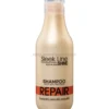 Stapiz Sleek Line Repair - zestaw regenerujący do włosów szampon 300ml i maska 250ml